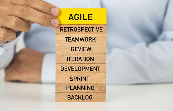 what is agile management