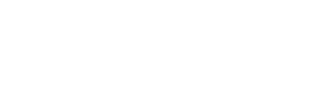 visual-capatalist-partner