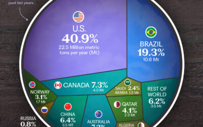 Visualized: Which Countries Capture the Most Carbon?