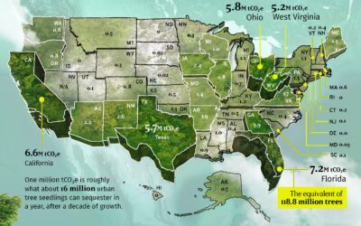Mapped: Carbon Offsets by U.S. State